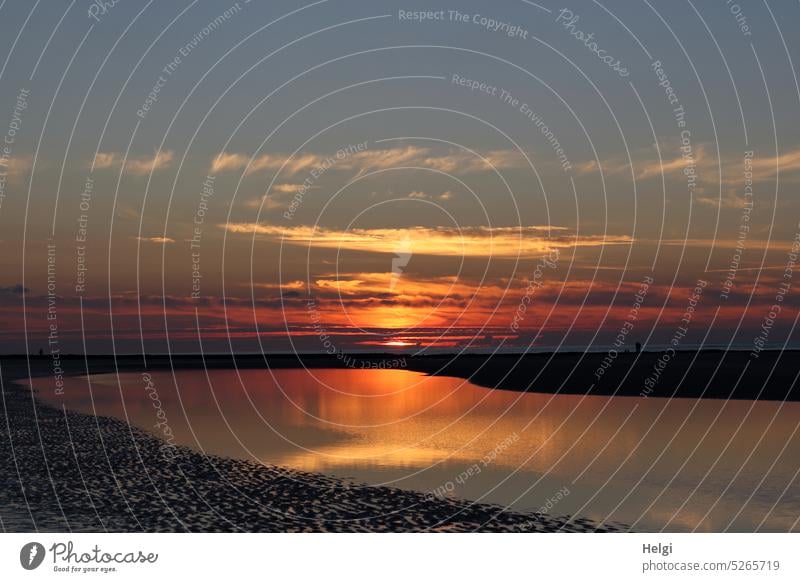 Sonnenuntergang an der Nordsee Abend Abendsonne Licht Schatten Strand Meer Nordseeinsel Wangerooge Himmel Ferien & Urlaub & Reisen Natur Sand Horizont Wasser