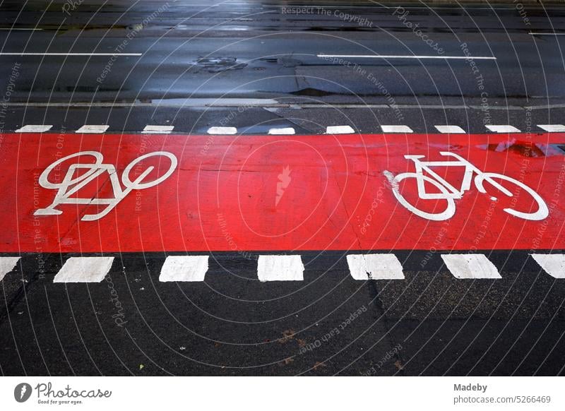 Fahrbahnmarkierung in rot und weiß auf grauem Asphalt für den Radweg mit Poller nach Regen im Sonnenschein auf der Hanauer Landstraße im Ostend von Frankfurt am Main in Hessen