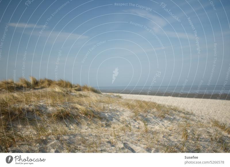 Menschenleerer Sandstrand und Dünen an der Nordseeküste Strand Küste Meer Landschaft Natur Wasser Ferien & Urlaub & Reisen Himmel Wolken Tourismus Erholung