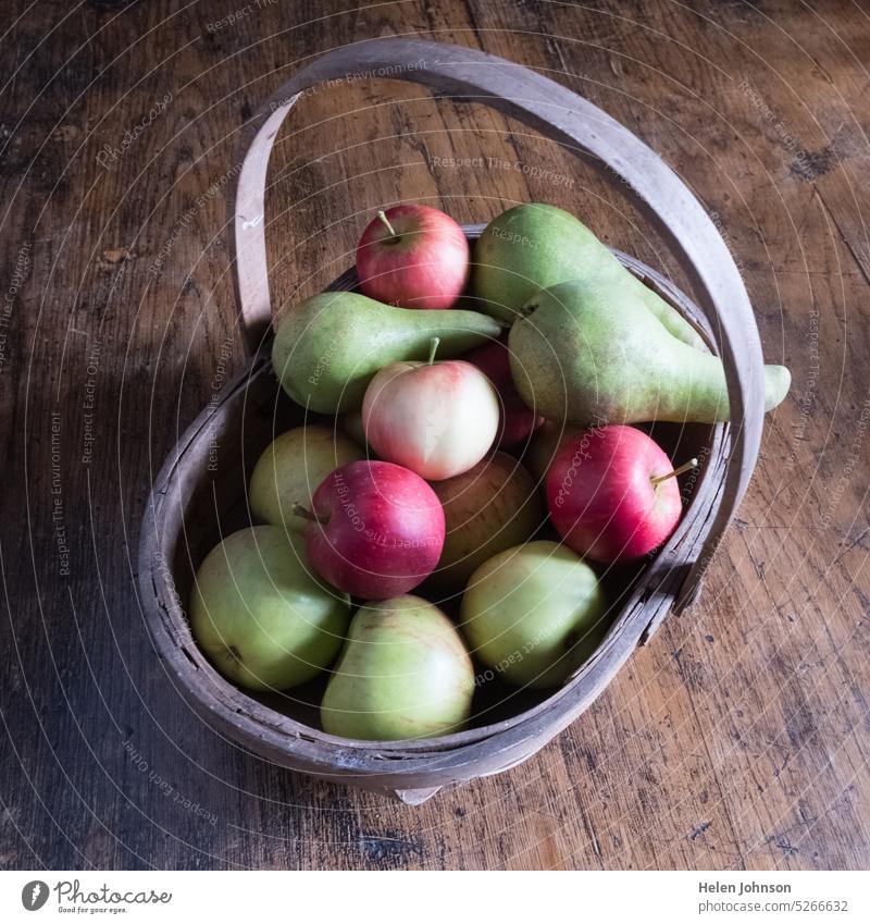 Obstkorb für die Ernte Frucht Äpfel Birnen Korb Garten trug frisch Herbst Natur saftig lecker Apfelernte selbst angebaut Lebensmittel grün rot produzieren