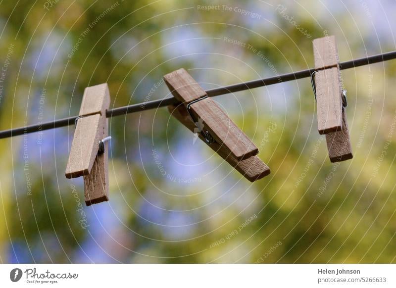 Wäscheklammern an der Wäscheleine im Sommer Pflöcke Himmel Waschtag heimwärts Garten Holznägel Sommerhimmel verschwommener Hintergrund hoffnungsvoll Versprechen