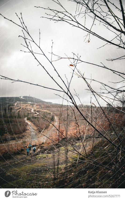 Landschaftsphoto mit dem Berg im Hintergrund und Zweigen im Vordergrund. Wanderer in Richtung Berges sind auch zu sehen winter in deutschland wandern Himmel