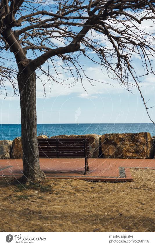 Strandleben in Ligurien, Italien Großstadt Küste farbenfroh Saum hafen Horizont idyllisch Italienisch Landschaft Ligurisches Meer Berge u. Gebirge Handfläche