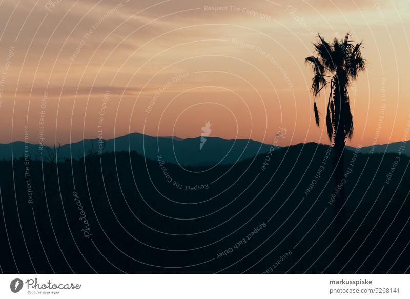 Sonnenuntergang im Hinterland von Ligurien Strand Großstadt Küste farbenfroh Saum hafen Horizont idyllisch Italienisch Landschaft Ligurisches Meer