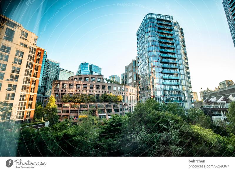 good night vancouver Gebäude metropole Ferien & Urlaub & Reisen Tourismus Ausflug Sightseeing Stadt Architektur Bauwerk Aussicht Himmel Farbfoto beeindruckend