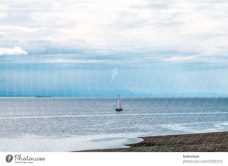 einfach treiben lassen Himmel Küste Wasser Meer besonders Landschaft Natur Kanada British Columbia Abenteuer Nordamerika Farbfoto Fernweh Ferne