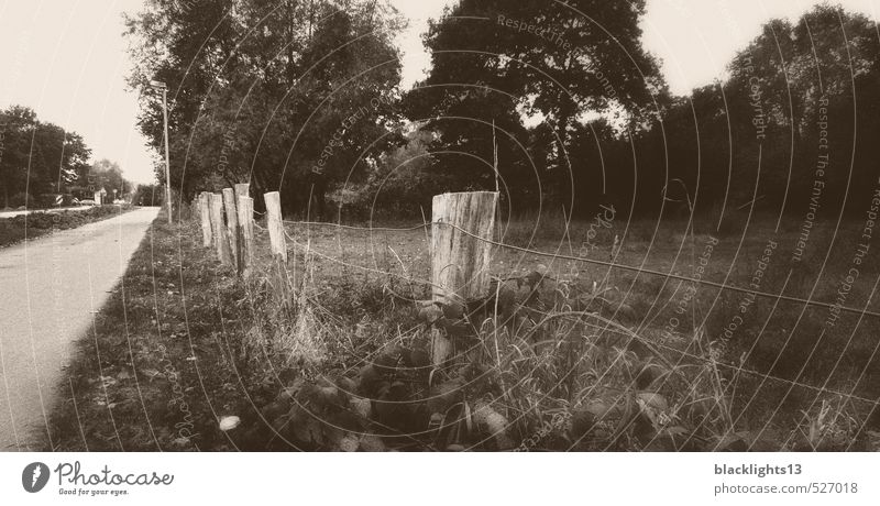 Zaun am Straßenrand Schwarzweißfoto Landschaft alt abstrakt Natur grau Baum Traurigkeit Kunst Menschenleer Gras Balken Drahtzaun Weide Fotografie Landweg Dorf