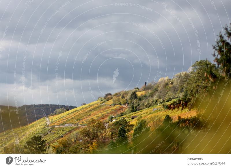 Die Farben des Herbstes Natur Landschaft ruhig Herbstfarben Sichtweise Ferne Aussicht Außenaufnahme Panorama (Aussicht)