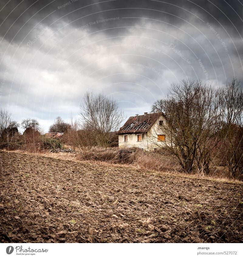 Alte Hütte Lifestyle Haus Umwelt Natur Landschaft Urelemente Himmel Gewitterwolken Herbst Klima schlechtes Wetter Unwetter Baum Sträucher Feld alt dunkel