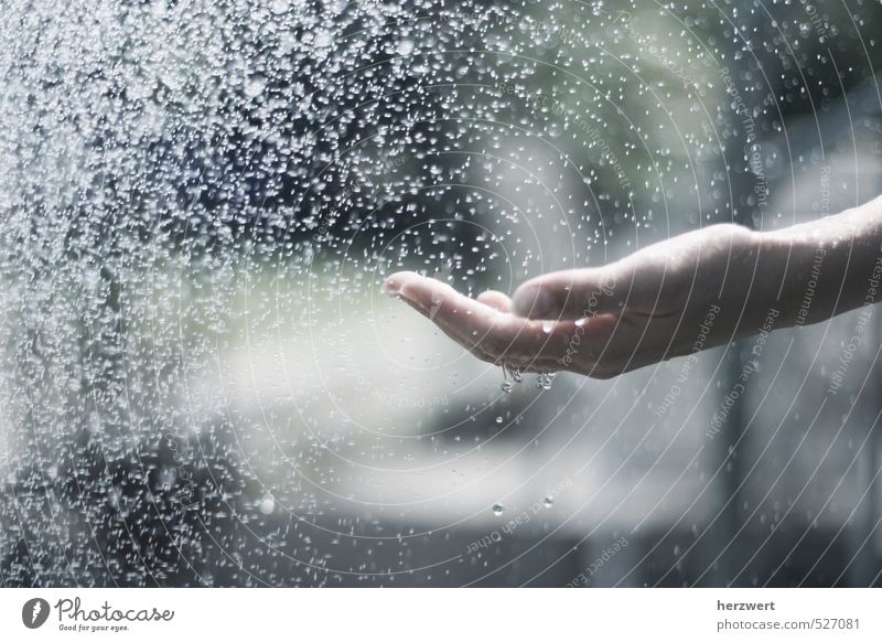 Wasser marsch Wassertropfen Gefühle Stimmung schön Hand festhalten berühren Leben Gedeckte Farben Außenaufnahme Licht Schatten