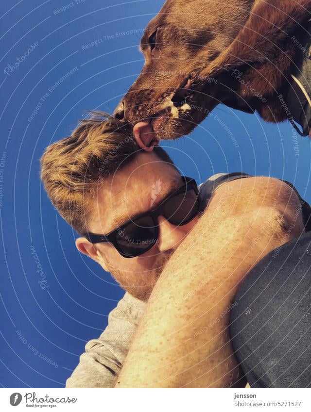 Ein brauner Labrador leckt seinem Herrchen die Stirn und Haare Blauer Himmel Hund Labrador Retriever Außenaufnahme Natur Tierporträt Haustier Mann Sonnenbrille