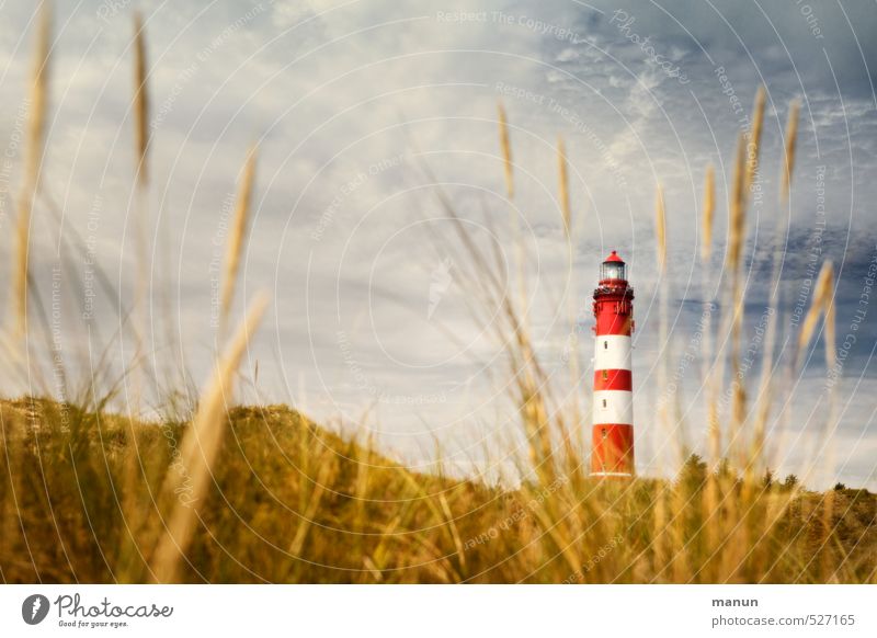 Bauchbinde Natur Landschaft Nordsee Insel Leuchtturm Bauwerk Architektur Sehenswürdigkeit Ferien & Urlaub & Reisen Farbfoto Außenaufnahme Menschenleer