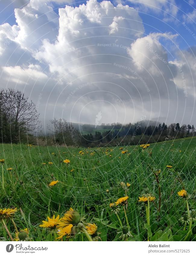 Landschaft auf der schwäbischen Alb mit Wiesen, Hügeln und Wolken. Natur Außenaufnahme Farbfoto Menschenleer Himmel Sonnenlicht Tag Schönes Wetter Licht