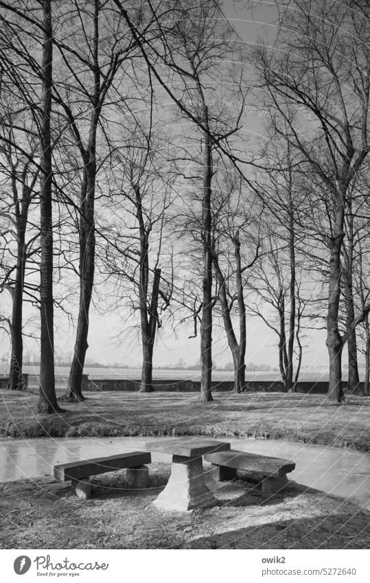 Rustikale Gastlichkeit Steinbank Parkbank Idylle schwer einfach alt eckig Bach Baum Sträucher Horizont Wolkenloser Himmel Landschaft Wasser Natur Umwelt fest