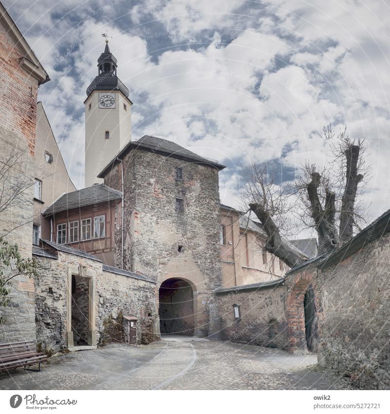 Oberes Schloss Burg oder Schloss Bauwerk Architektur historisch Vergangenheit Sehenswürdigkeit Fassade Mauer Wand Fenster Gebäude Haus Thüringen Greiz Baum