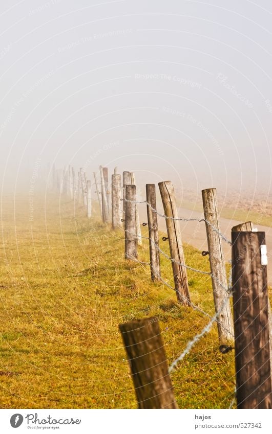 Nebelschwaden am Weg Natur Landschaft Herbst Wetter Wege & Pfade kalt gelb grün weiß Nebelbank feucht Dunst Hochebene Zaun Weide Sicht null mystisch