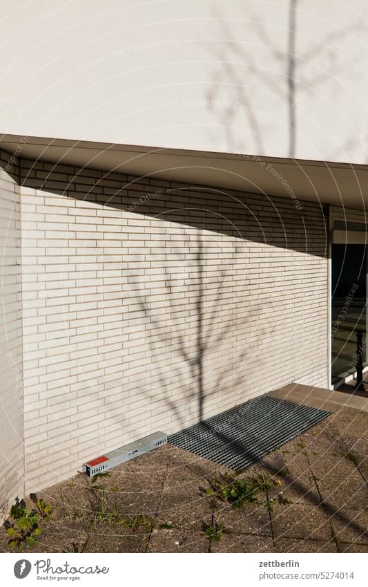 Schatten eines Bäumchens im Frühling architektur außen avant garde bauhaus berlin berliner philharmonie fassade hans scharoun konzert konzerthalle konzerthaus