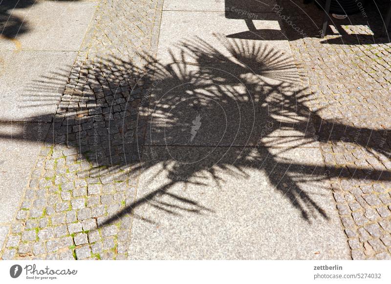 Schatten auf dem Bürgersteig architektur berlin city deutschland froschperspektive hauptstadt innenstadt kiez leben mitte modern neubau platz stadtbezirk