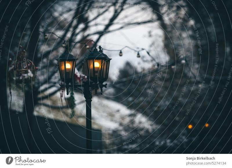 Augen in der Dunkelheit Laterne Park Lichterkette gruselig Nacht dunkel Beleuchtung Abend Menschenleer Lampe leuchten Straßenbeleuchtung Außenaufnahme Stadt