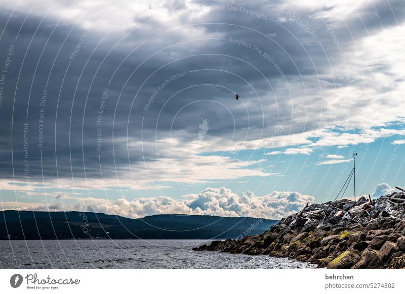 mast- und schotbruch Wolken Sunshine Coast Wasser traumhaft genießen träumen British Columbia Landschaft Kanada Natur Nordamerika Farbfoto