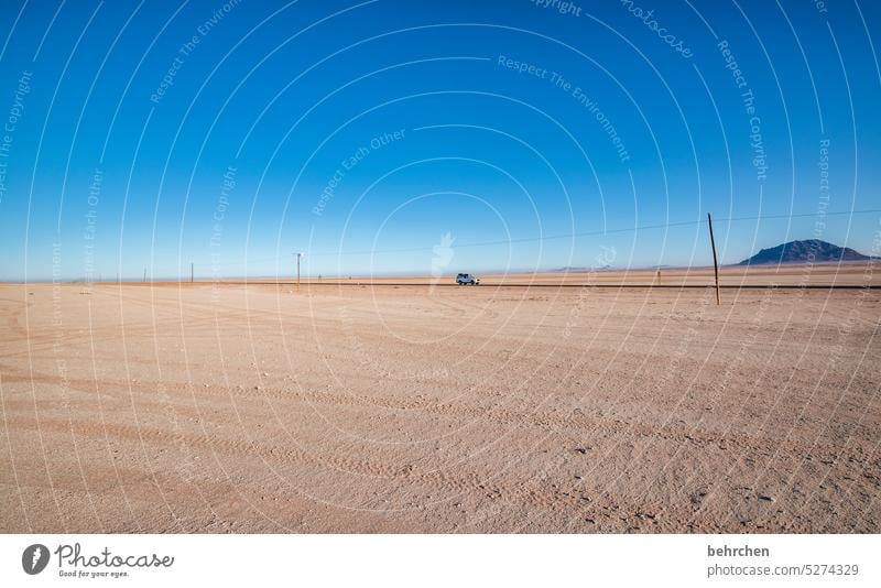 weite, nichts als weite! Endlosigkeit surreal Afrika Fernweh Namibia Wüste trocken Klimawandel beeindruckend besonders Ferien & Urlaub & Reisen Blauer Himmel