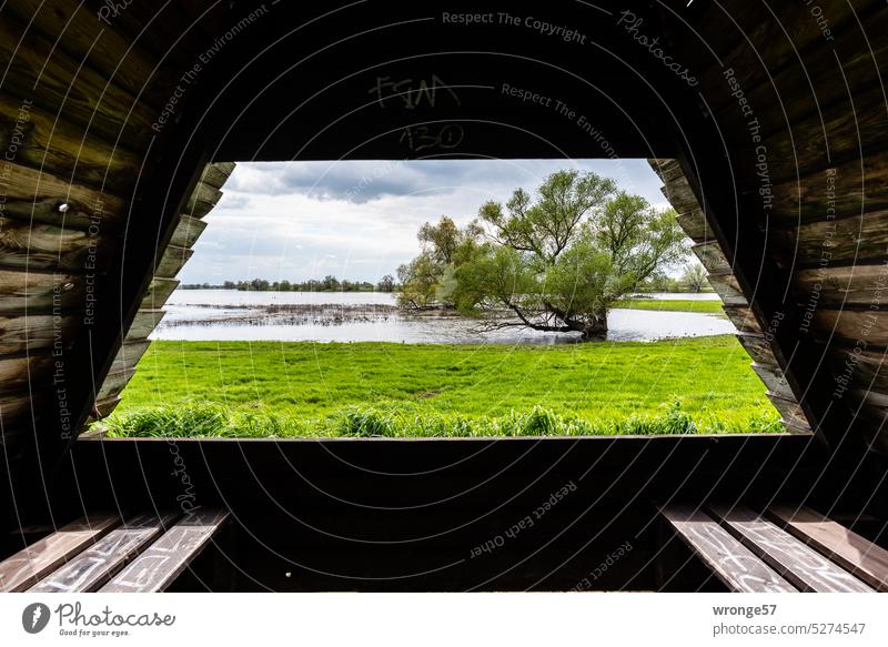 Blick aus einer Schutzhütte am Elberadweg auf überflutete Wiesen Überflutung Überflutungsgebiet Überflutungsfläche Hochwasser Überschwemmung Wasser Fluss