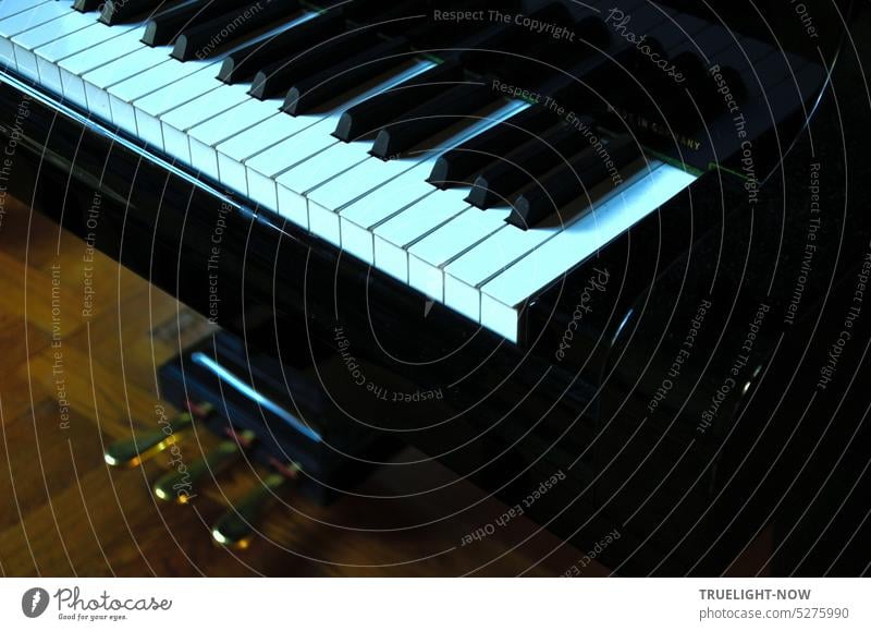 Konzert Flügel auf Parkettboden mit Tasten und Pedale in Teilansicht schräg von oben bei geringer Tiefenschärfe Musik Konzertflügel Tastatur Klavier Instrument