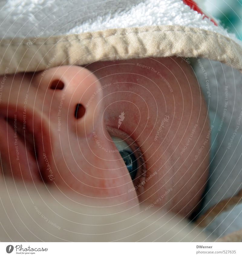 frisch gewaschen schön Gesicht Wellness Wohlgefühl Zufriedenheit Schwimmen & Baden Mensch Baby 1 0-12 Monate glänzend Lächeln Blick Fröhlichkeit klein