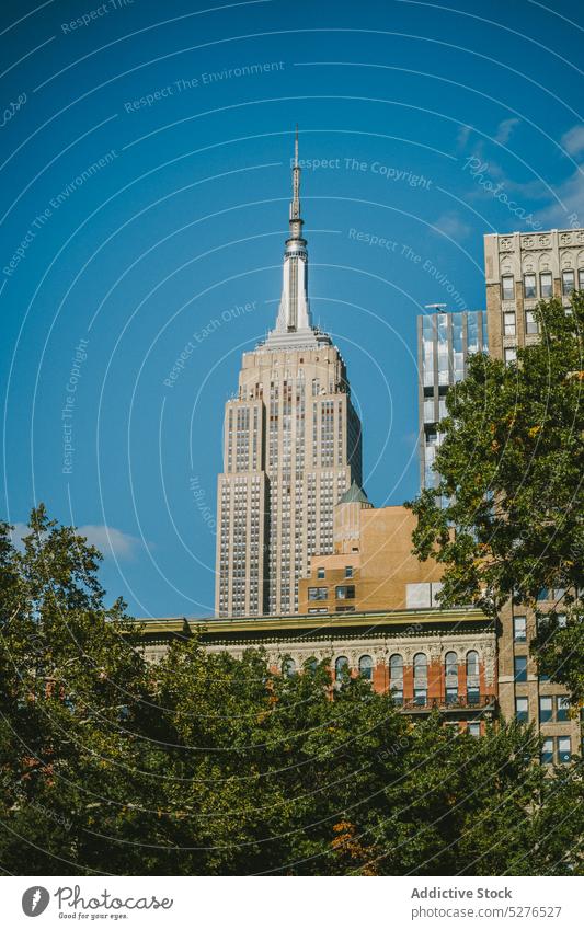 Bäume wachsen unter dem Empire State Building Amerikaner Gebäude Wolkenkratzer hoch Großstadt New York State modern Architektur Blauer Himmel urban USA Revier