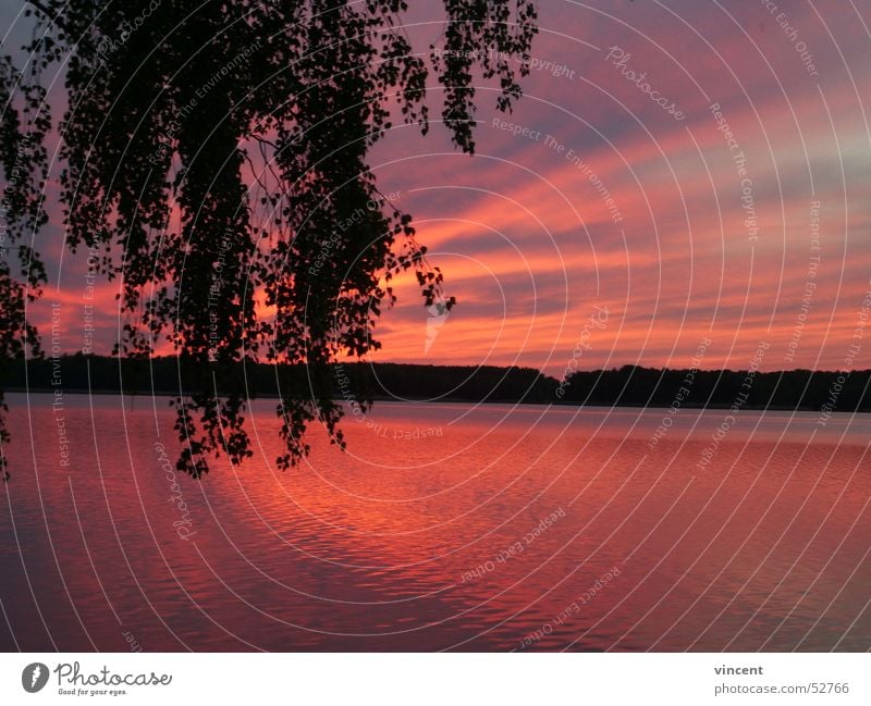 vince002 See Meer Strand Teich Abend rot Einsamkeit ruhig Abenddämmerung Sonne Wasser Reflexion & Spiegelung sea dusk red sun water