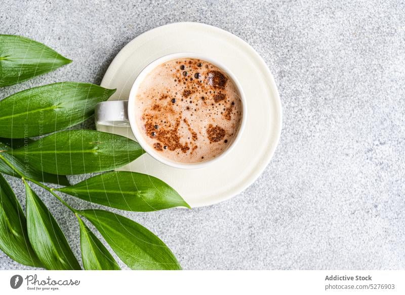 Tasse Cappuccino und grüne Blätter oben americano Hintergrund Getränk Keramik Kaffee Kaffeepause Beton trinken Espresso schäumen Guten Morgen grau heiß melken