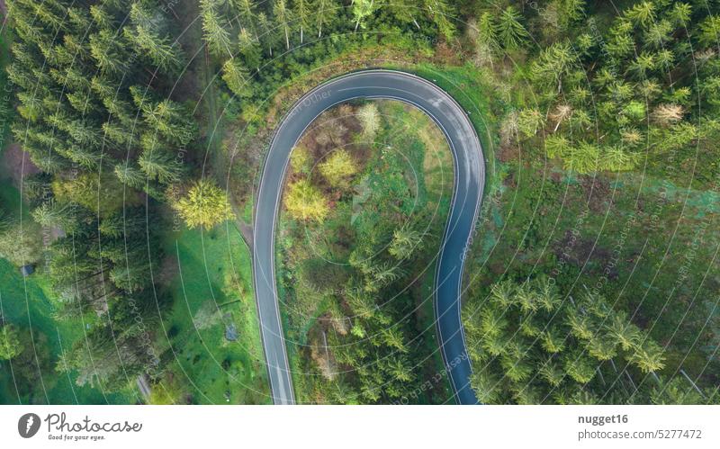 Kehre im Wald Luftaufnahme kurve straße wald bäume baum grün natur drohne drohnenaufnahme s kurve von oben gelb thüringen ästhetisch