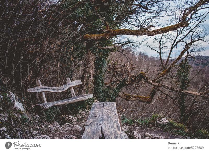 Bank im Gebirge Außenaufnahme Parkbank Holz ruhig Sitzgelegenheit Erholung Menschenleer Holzbank Farbfoto Tag Pflanze Schatten Einsamkeit Sitzbank Natur Pause