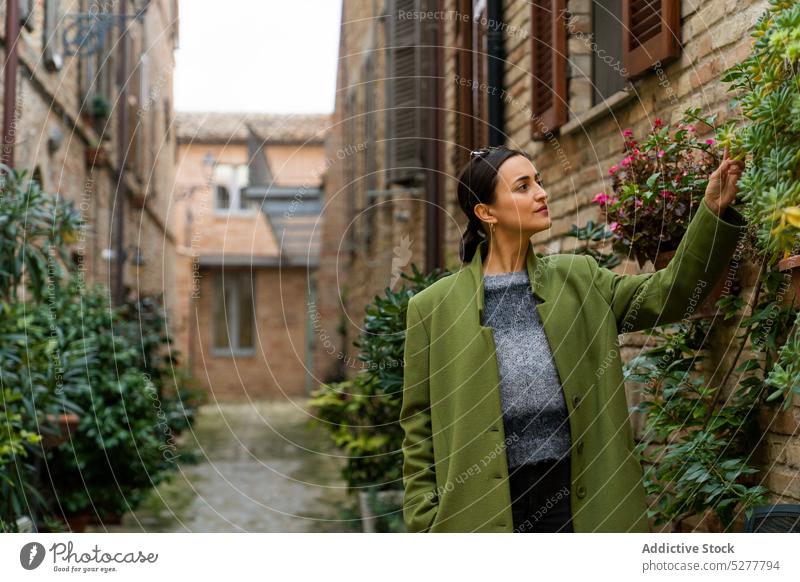 Ruhige Frau berührt grüne Pflanzen selbstbewusst trendy santa vittoria in matenano Spaziergang Natur Buchse Blatt Windstille Strauch jung Laubwerk Saison stehen