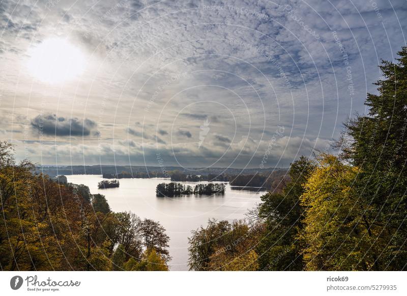 Blick vom Reiherberg über den Haussee auf die Feldberger Seenlandschaft Mecklenburg-Vorpommern Aussichtspunkt Ufer Landschaft Natur Wald