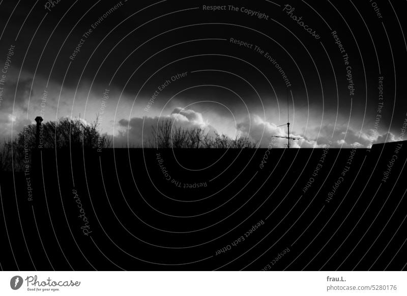 Winterhimmel Stadt urban Haus Gebäude Himmel Wolken dunkel Licht Bäume dramatisch Abend Dämmerung Wetter Sonnenuntergang