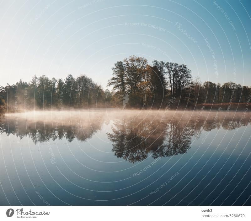 Abschaltvorrichtung Teich Gewässer mystisch Wasser ruhig Stille Bäume Wasseroberfläche lichtdurchflutet geheimnisvoll Wasserspiegelung Ruhe Natur Außenaufnahme