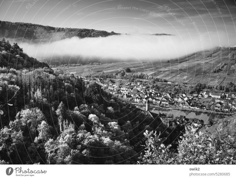 Wolkenwurst Panorama (Aussicht) Weitblick Umwelt Weinberge Häuser Kleinstadt Vorort Rheinland-Pfalz Weinhänge Moseltal Flußbett Flusslandschaft