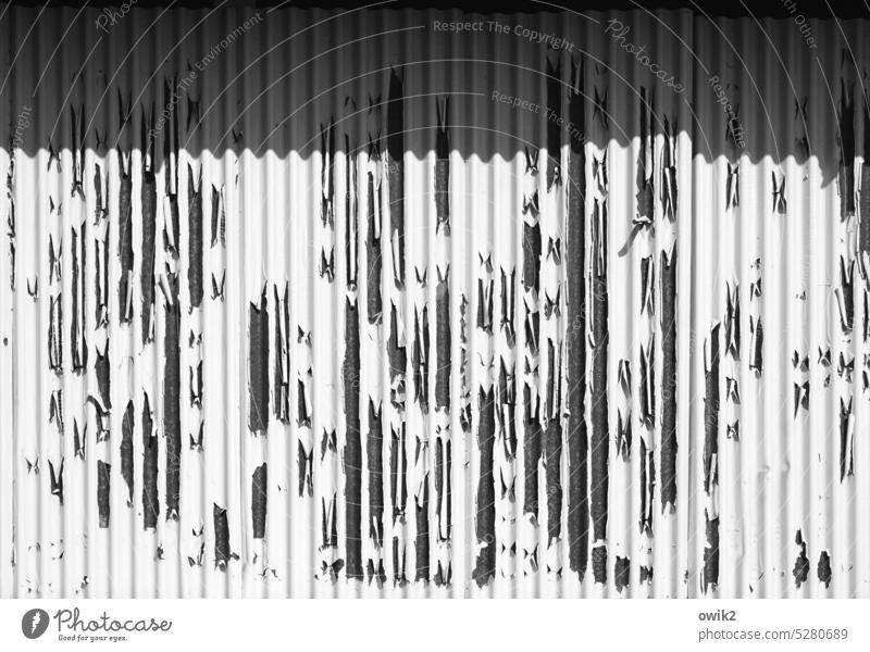 Über kurz oder lang Tor alt Farbe abblättern Linie verfallen Farbrest Ordnung parallel Zahn der Zeit Verfall abstrakt Detailaufnahme Kontrast Muster Streifen