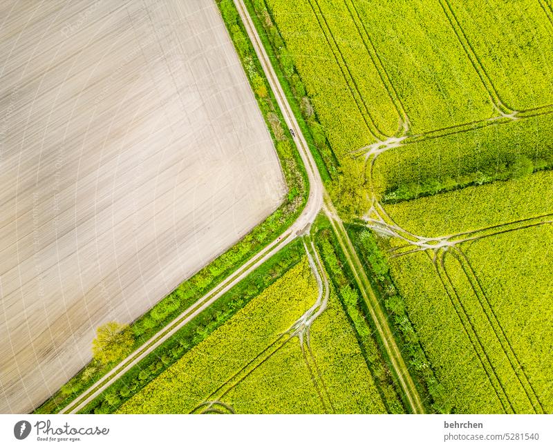 abgehoben zartes Grün Frühling Vogelperspektive von oben Drohne Sonnenlicht Farbfoto Heimat Jahreszeiten Wetter Außenaufnahme Landschaft Umwelt Felder