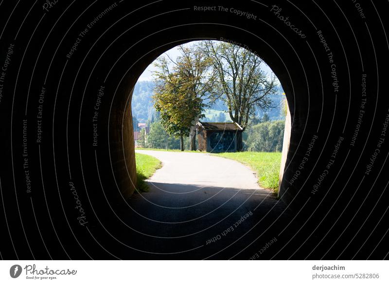 Der Weg ins helle Sonnenlicht. Tunnelblick Menschenleer Zentralperspektive Licht dunkel Schatten Außenaufnahme Einsamkeit Architektur Unterführung Farbfoto