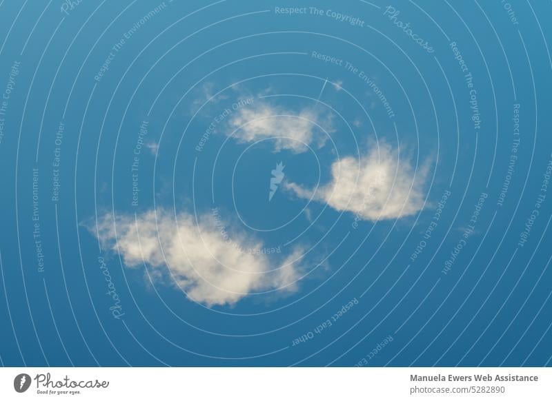 Drei weiße Wolken am blauen Sommerhimmel wolken blauer himmel schäfchenwolken sommer sonne freiheit drei luft wetter minimalistisch