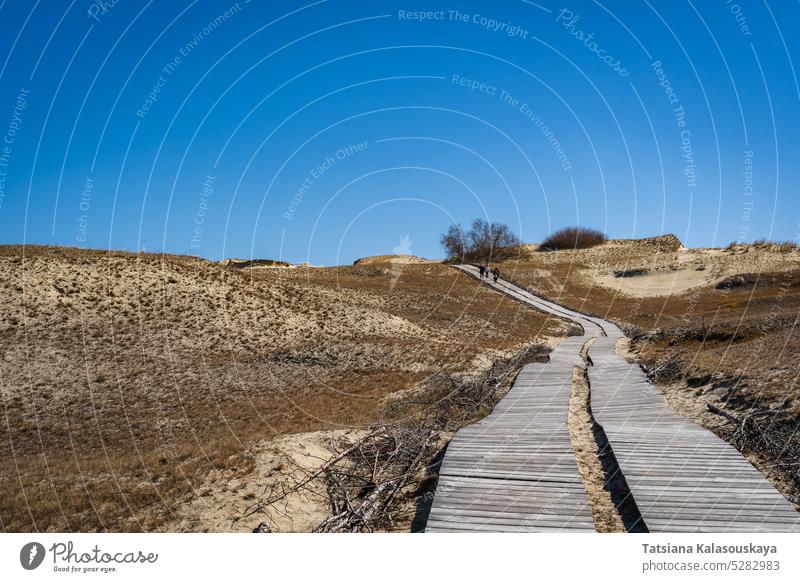 Holzsteg auf den Toten Dünen oder Grauen Dünen, Kurische Nehrung, Neringa, Litauen Tote Dünen wüst hölzern Fußweg Spazierweg Laufsteg Sand Wind Erosion