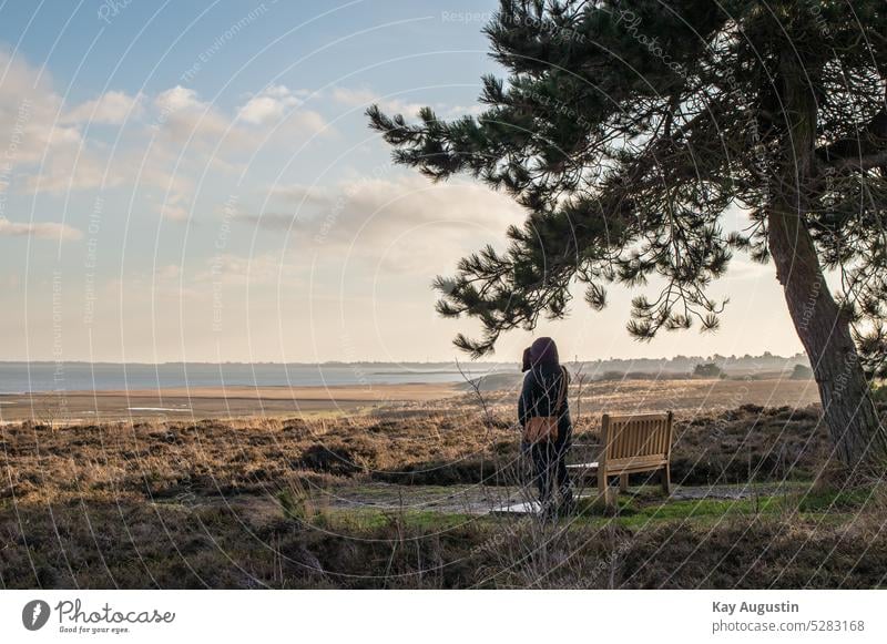 Ausblick auf das Wattenmeer schattiger Platz Nordsee Nordseeküste Sitzbank Heidelandschaft Heidekraut Nationalpark Wattenmeer Kampen Syltlandschaft