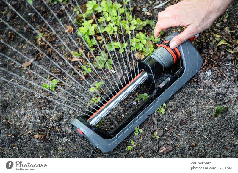 Gartensprenger, Viereckregner, spritzt einen Wasserfächer, Hand platziert ihn im Grün Rasensprenger Fächer bewässerung bewässern Wasserknappheit Trockenheit