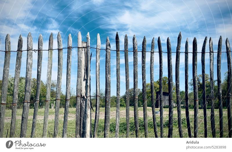 Weidezaun mit Schleierwolken im kühlen Licht Zaun Schafweide Bauernhof Wiese Nutztiere Landwirtschaft Himmel blau Wolken Sonnenlicht Gras grün Stall Unterstand