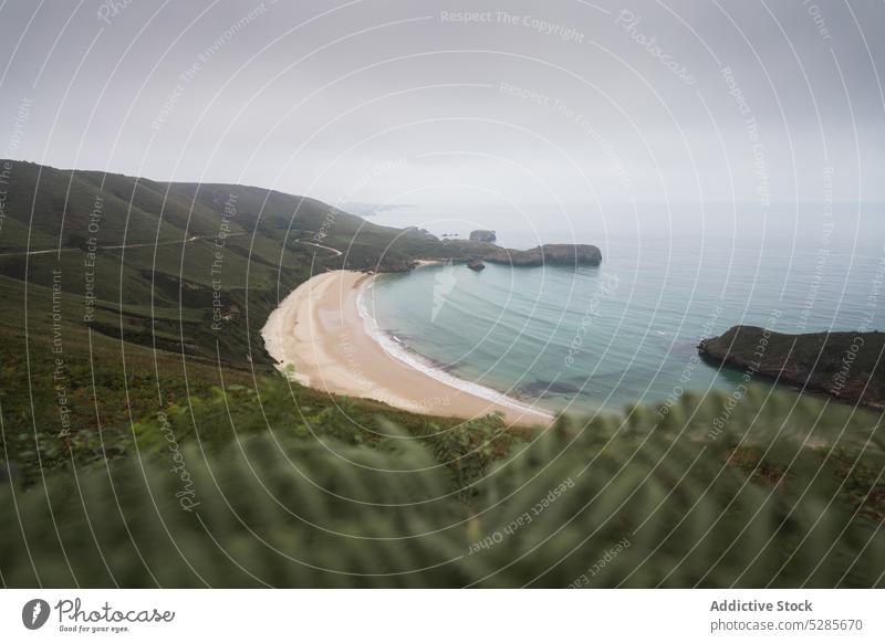 Malerischer Blick auf die sandige Küste in der Nähe von grünen Hügeln Meereslandschaft Landschaft MEER Strand Sand Pflanze Natur winken bedeckt Ufer Wasser