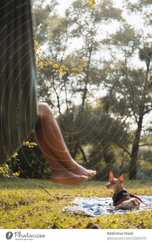 Anonyme Frau liegt in Hängematte in der Nähe von Hund in Park Wald ruhen Natur Wochenende Besitzer Lügen Haustier gehorsam Sonne basenji tagsüber Sommer