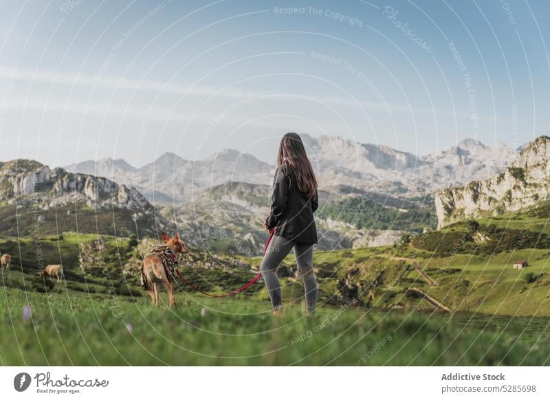 Unbekannte Frau geht mit Hund in den Bergen spazieren Besitzer Reisender Hochland Hügel Kamm Berge u. Gebirge Spaziergang Haustier Natur Abenteuer majestätisch