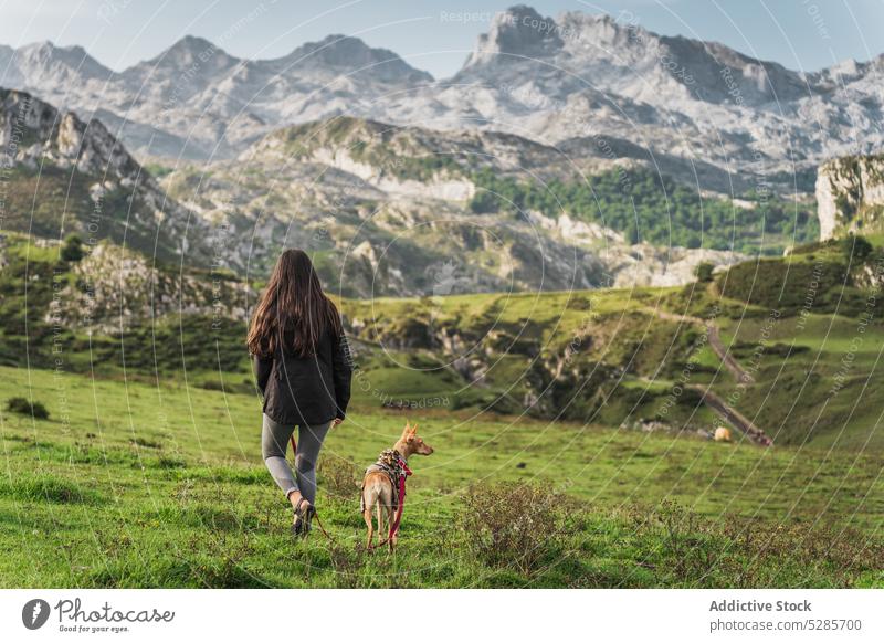 Unbekannte Frau geht mit Hund in den Bergen spazieren Besitzer Reisender Hochland Hügel Kamm Berge u. Gebirge Spaziergang Haustier Natur Abenteuer majestätisch